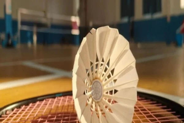排超联赛天津渤海银行对上海光明优倍李盈莹仲慧攻防对决分析